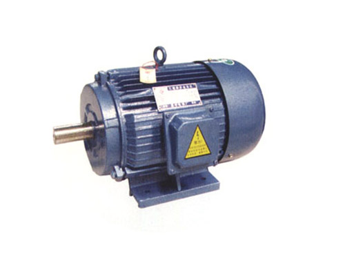 Y系列三相異步電動(dòng)機(jī)